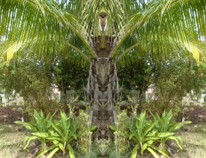 Presentation: Nature Spirit Visions @ Dolphin Touch Wellness Center | Kapaa | Hawaii | United States